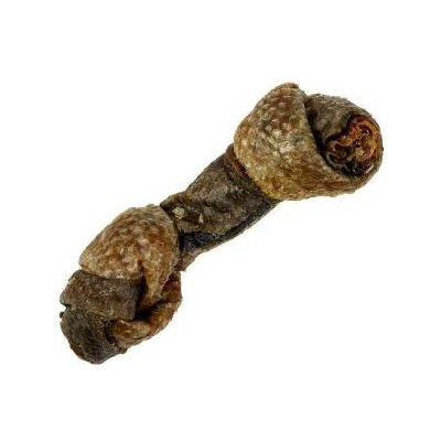 Snack21 Salmon Skin Bones