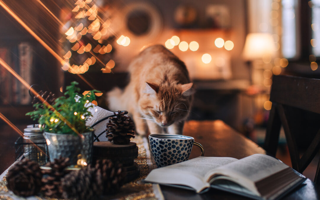 Embrace Holistic Cat Care with Natural Canadian Products 🐾