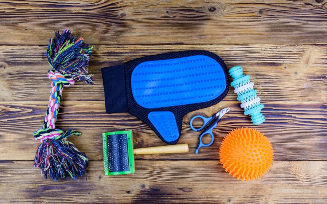 Sustainability Matters: Why Eco-Friendly Pet Supplies Make a Pawsitive Impact