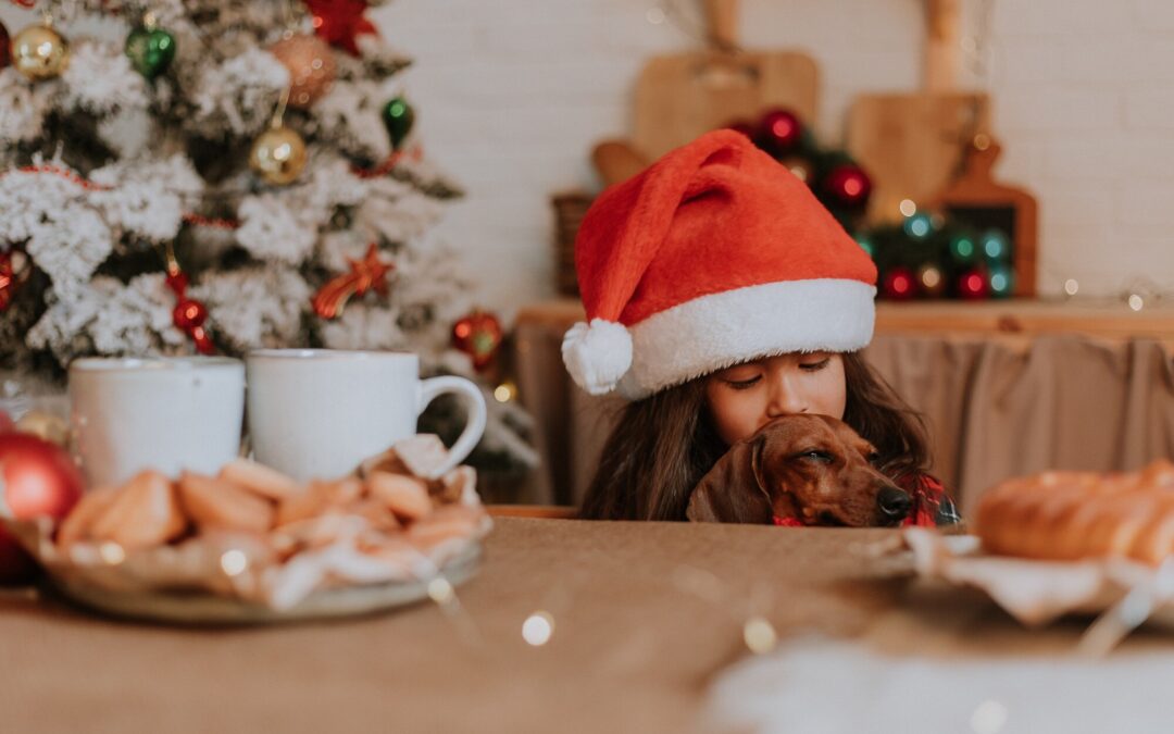 The Ultimate Checklist for Choosing Wholesome Treats for Your Furry Family!