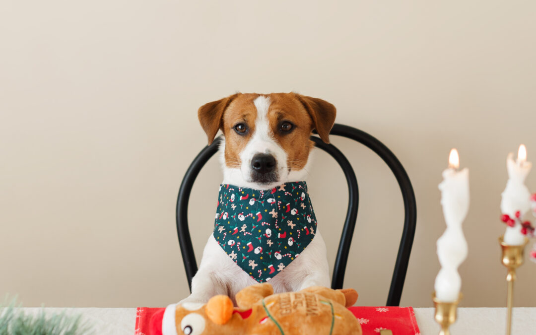 Unleashing the Nutritional Power of Canadian-Made Pet Products