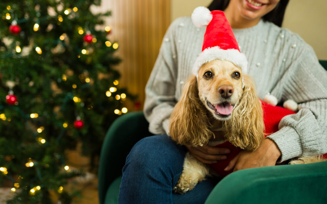 Why Supporting Local Canadian Pet Brands is a Win for Your Pet and Community!