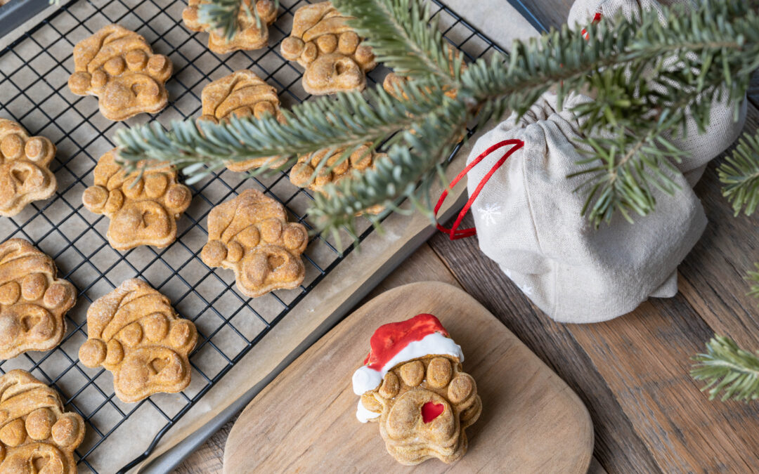 Why High-Protein Ingredients Are a Game Changer in Canadian Pet Treats