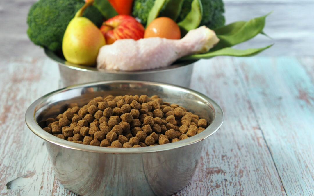 From Farm to Fetch: How Local Sourcing Guarantees Quality and Safety in Canadian Pet Products