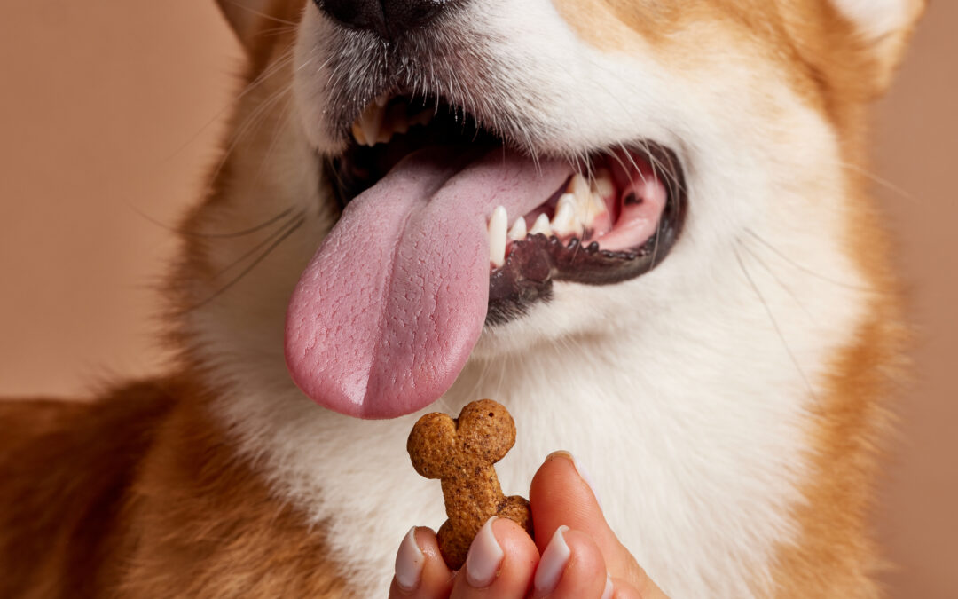 What Makes Canadian-Made Pet Treats Paws-Down Better: Quality, Nutrition, and Sustainability