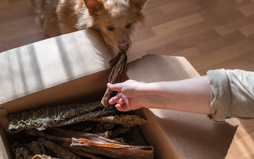 Sensitive Pets, Happier Tummies: Why Canadian-Made, Preservative-Free Treats Win