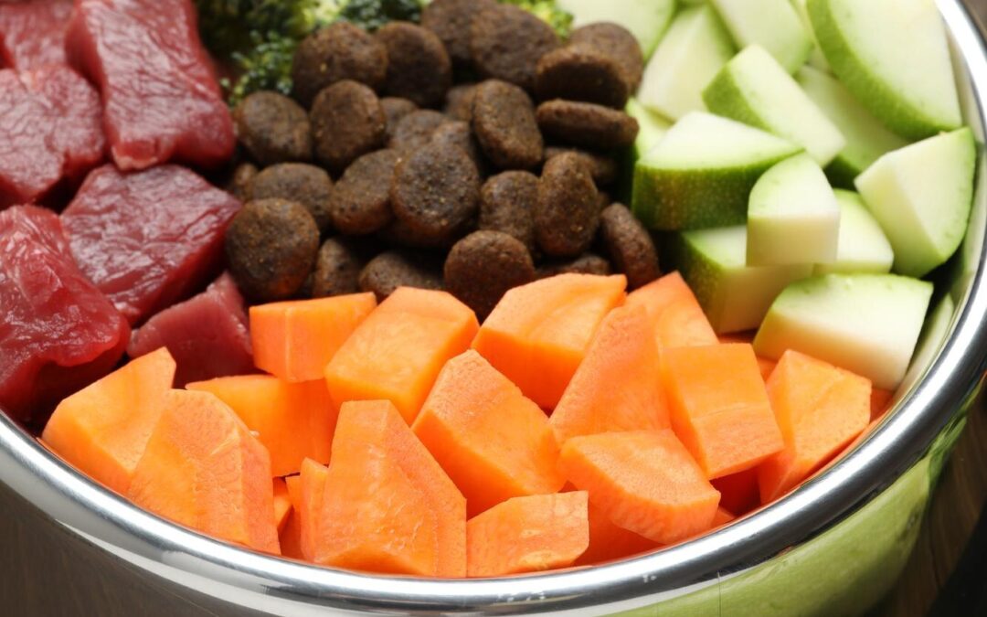 Strong Muscles, Happy Pets! The High-Protein Power of Canadian Treats