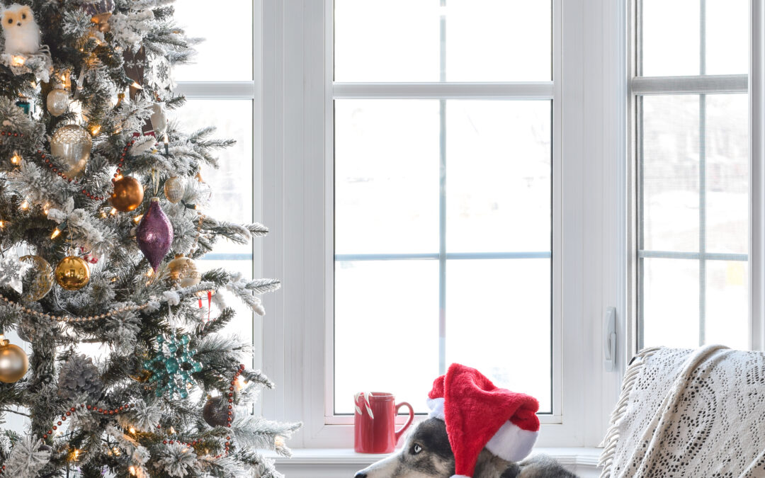 Free Delivery Across Canada: Treat Local, Save Time, Spoil Your Pet!