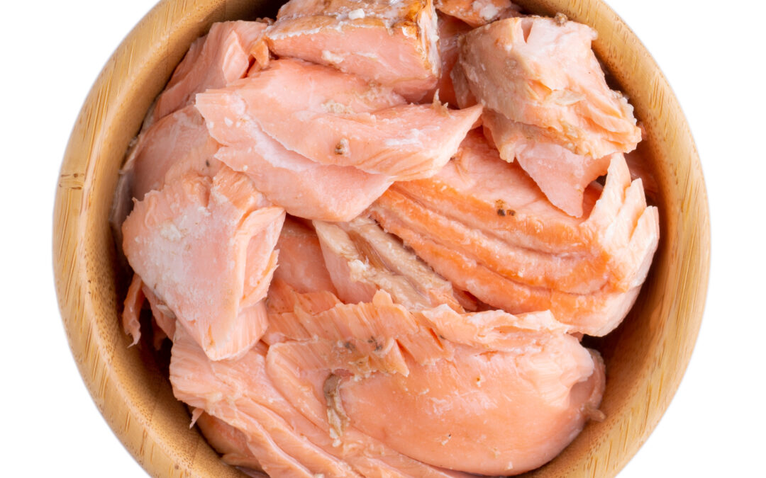 Strong Muscles, Happy Dogs: Why High-Protein Wild Salmon Treats Work Wonders