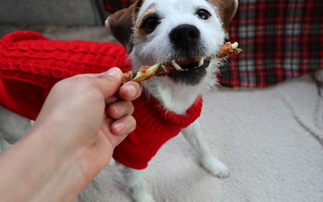 Pure, Simple, Canadian: How Natural, Preservative‑Free Treats Boost Pet Health