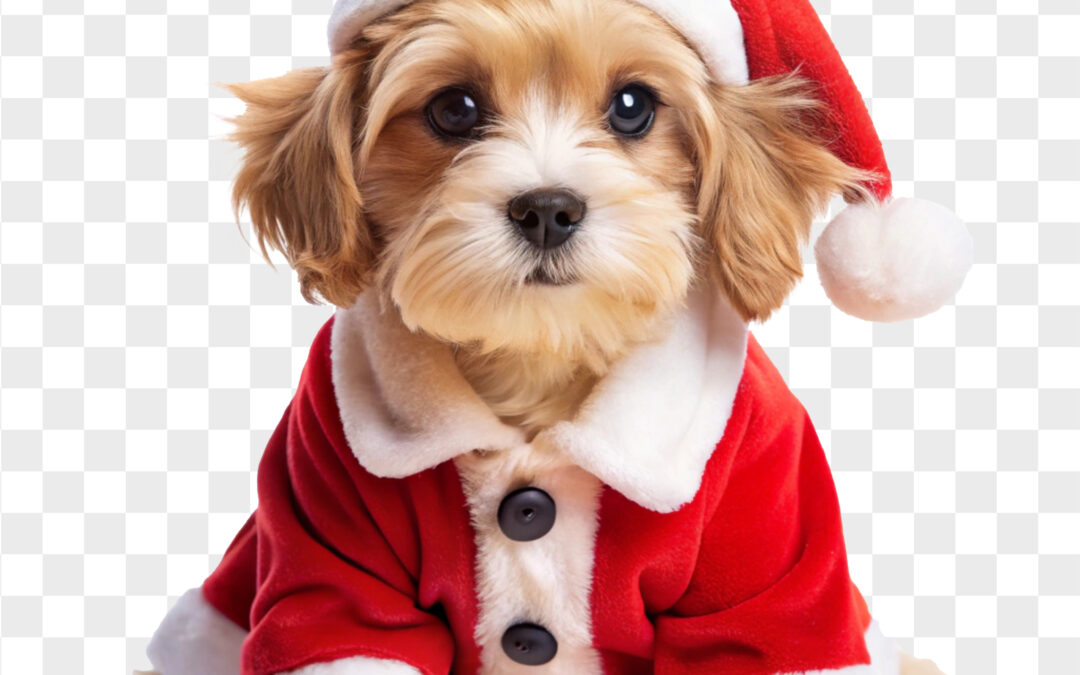 Healthy Pets, Strong Communities: Why Buying Canadian Pet Products Matters