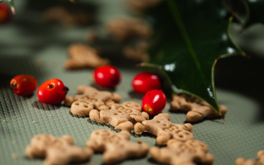 Canadian and Clean: How Grain-Free, Preservative-Free Treats Boost Pet Well-Being