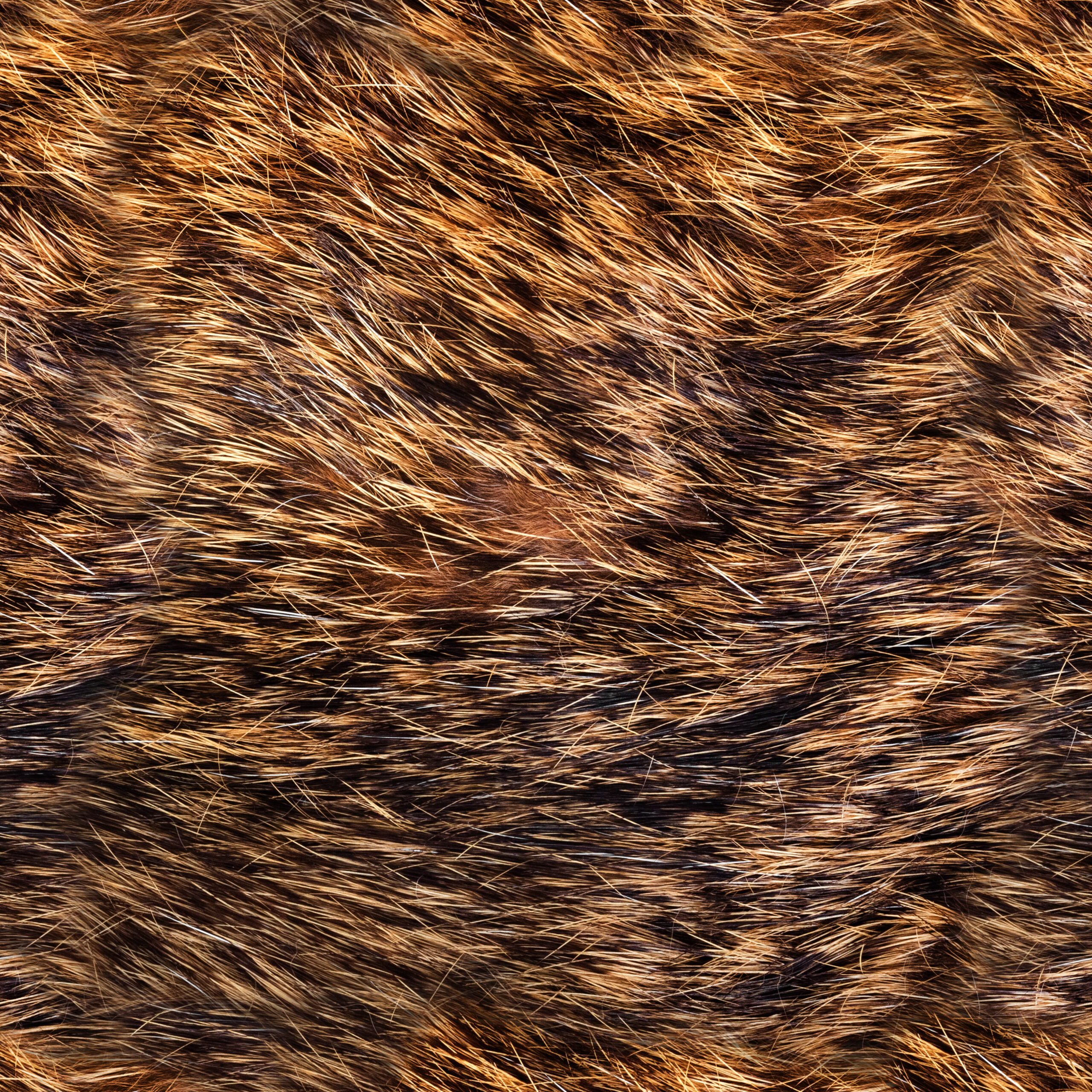 Seamless 4k photo texture of brown and black fur material.