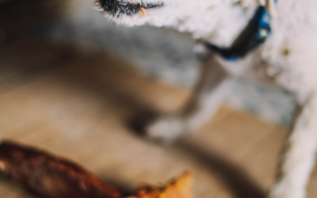 Chew On This: Natural, Long-Lasting Dog Chews for Cleaner Teeth and a Happier Mind