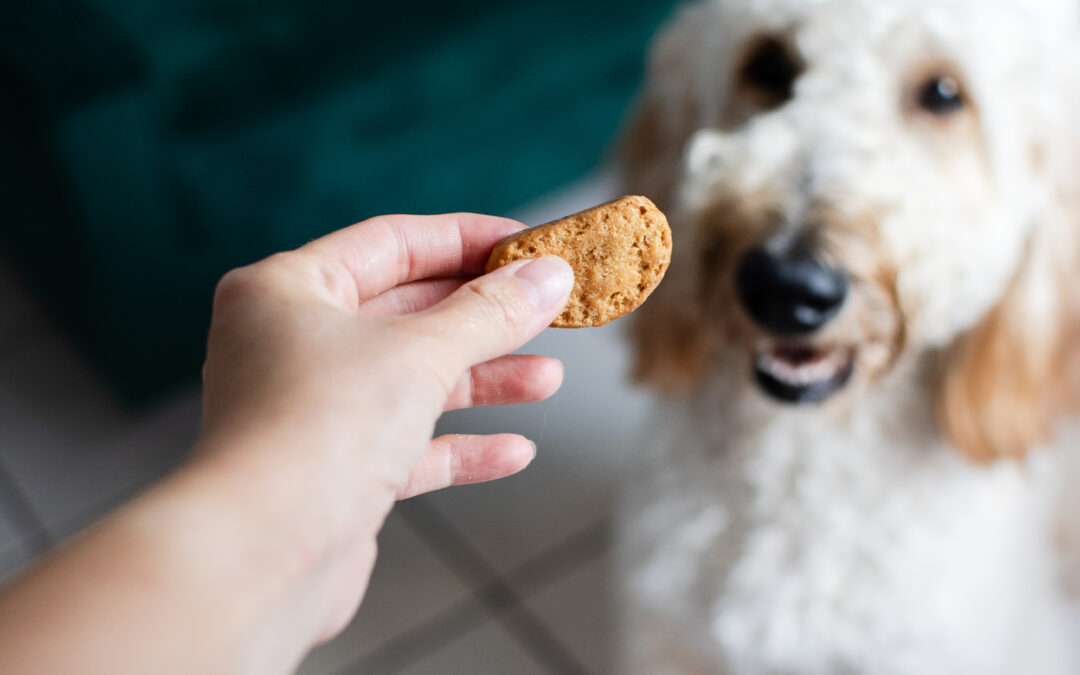 Top Reasons Canadian Pet Parents Choose Natural, Preservative-Free Treats