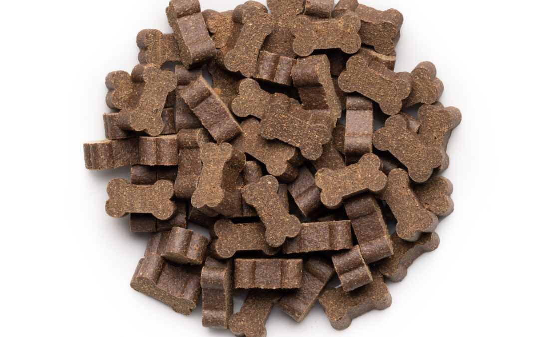 Your Guide to Choosing Natural Canadian Treats for Dogs & Cats