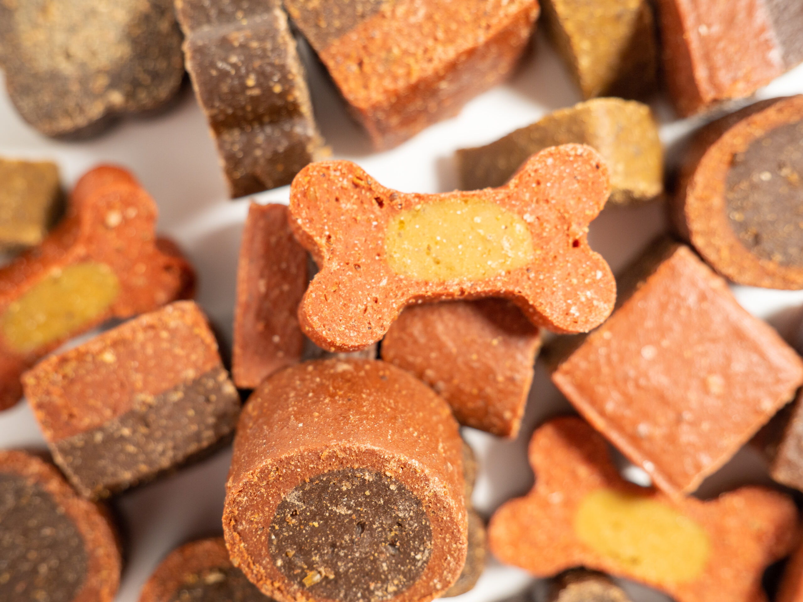 Dog treats. Treats for dogs on a white background.