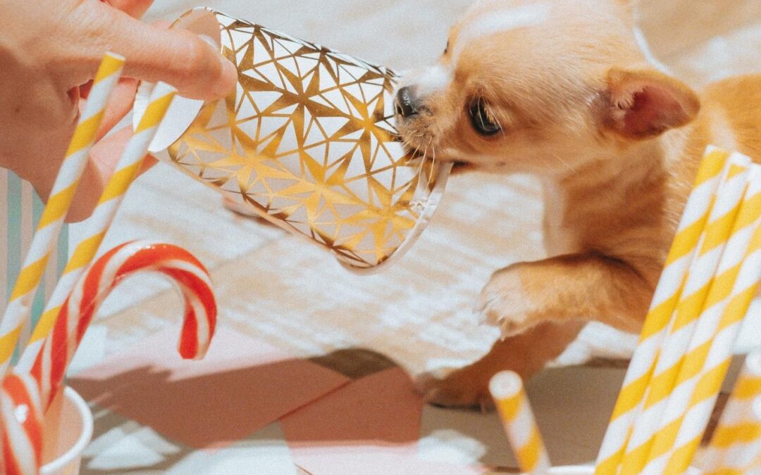 The Canadian Guide to Truly Natural Pet Treats: What’s Worth Buying