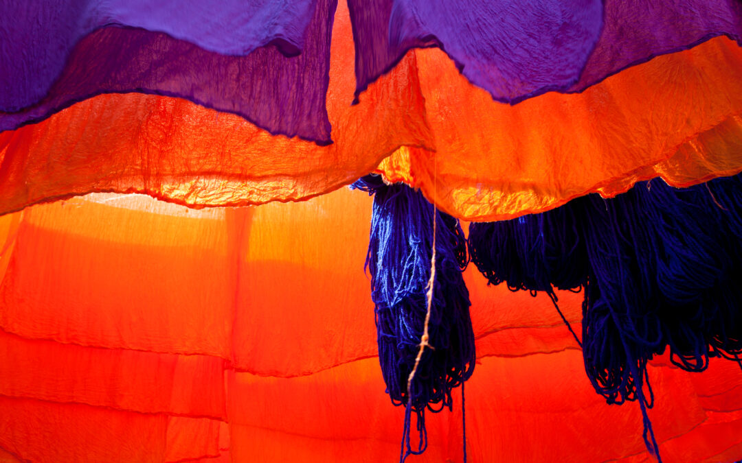 Support Local, Treat Local: Why Canadian Pet Brands Are Better for Your Best Friend