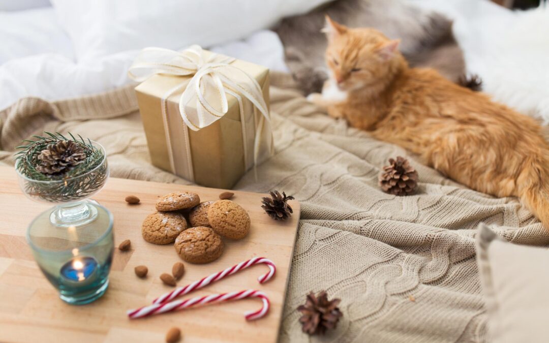 Clean, Simple, Canadian: Natural Dog & Cat Treats for Easier Routines