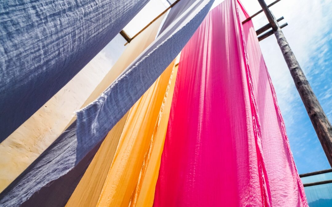 Best Long-Lasting Chews for Dogs That Need More Than a Quick Snack (Made in Canada!)