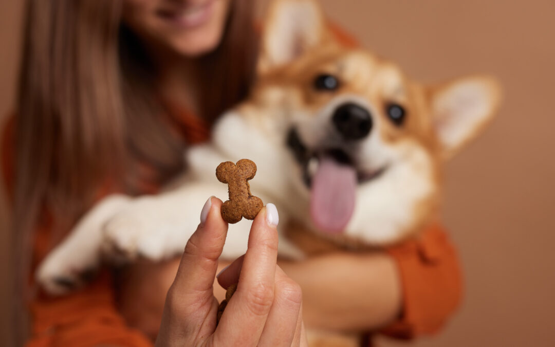 Treat Labels, Decoded! A Canadian Pet Parent’s Easy Guide