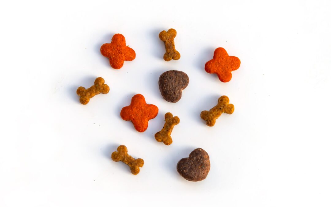 Natural Dog and Cat Treats for a Cleaner, Happier Routine (Made in Canada)