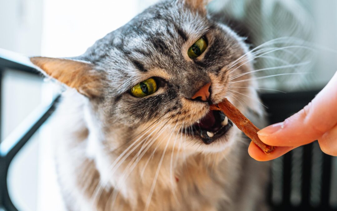 The 2026 Guide to Natural Canadian Treats for Dogs and Cats