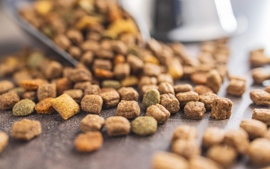 How to Choose the Best Canadian-Made Treats for Dogs and Cats in 2026