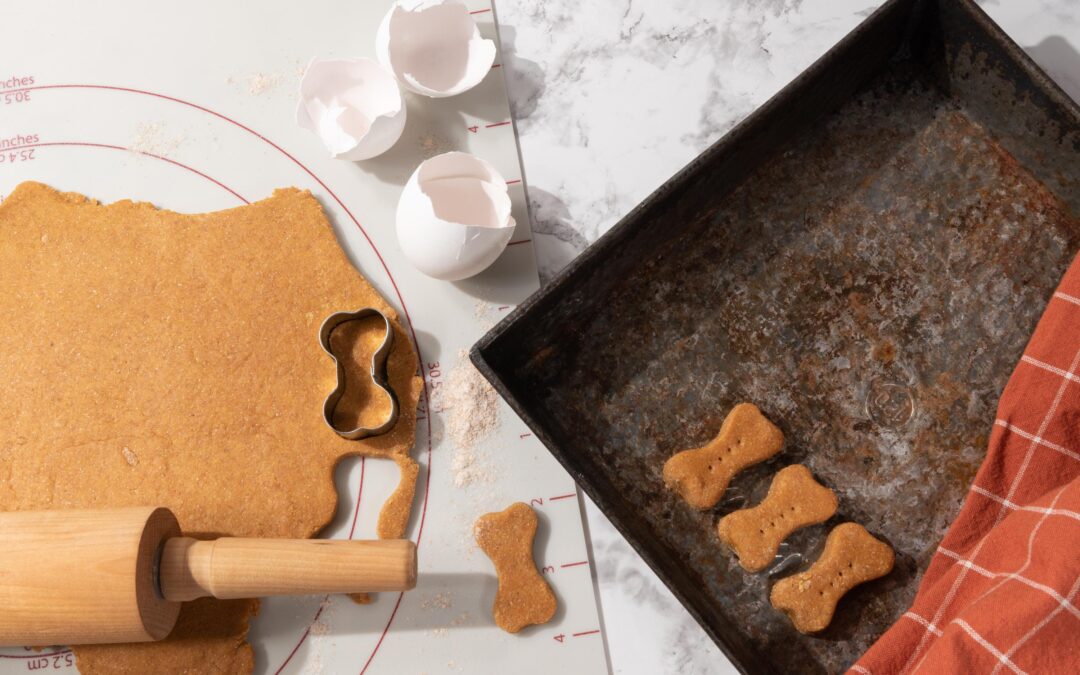 How to Build a Wholesome Treat Routine with Natural Canadian Treats