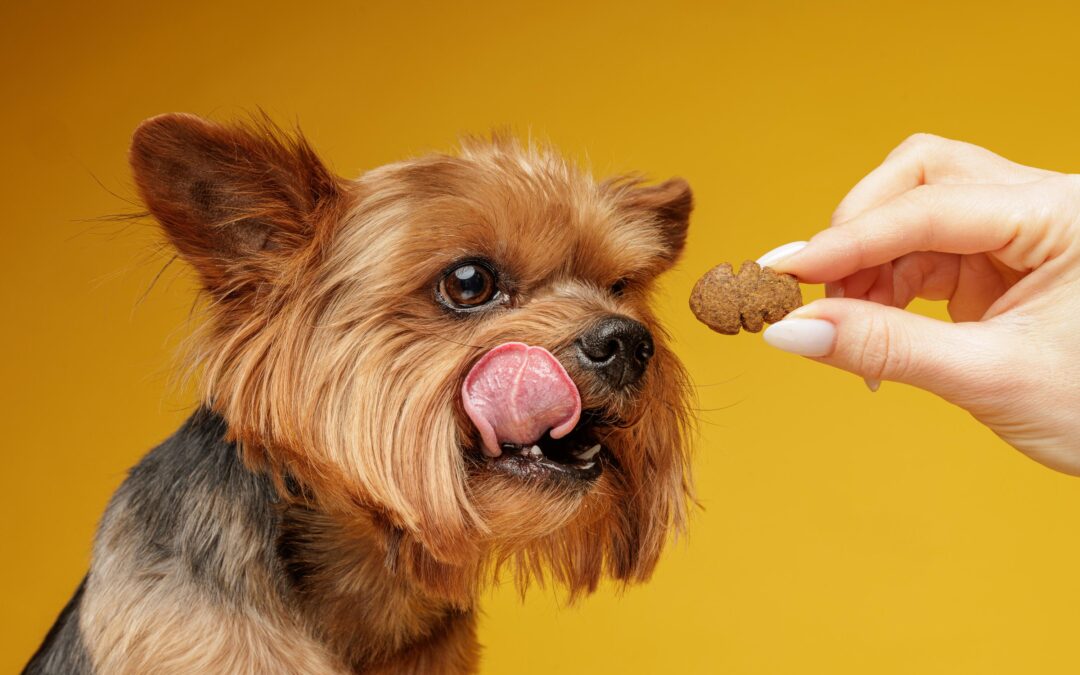 How to Choose Canadian-Made Pet Treats for Dogs and Cats in 2026