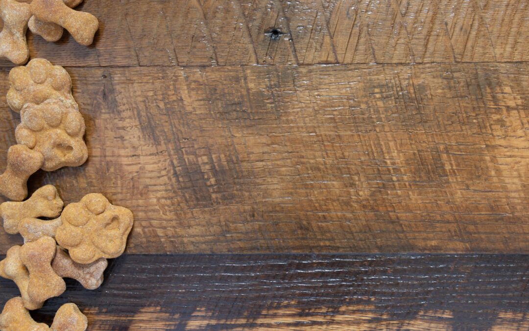 Premium Pet Treats Made Simple: What to Look For (The Canadian Way!)
