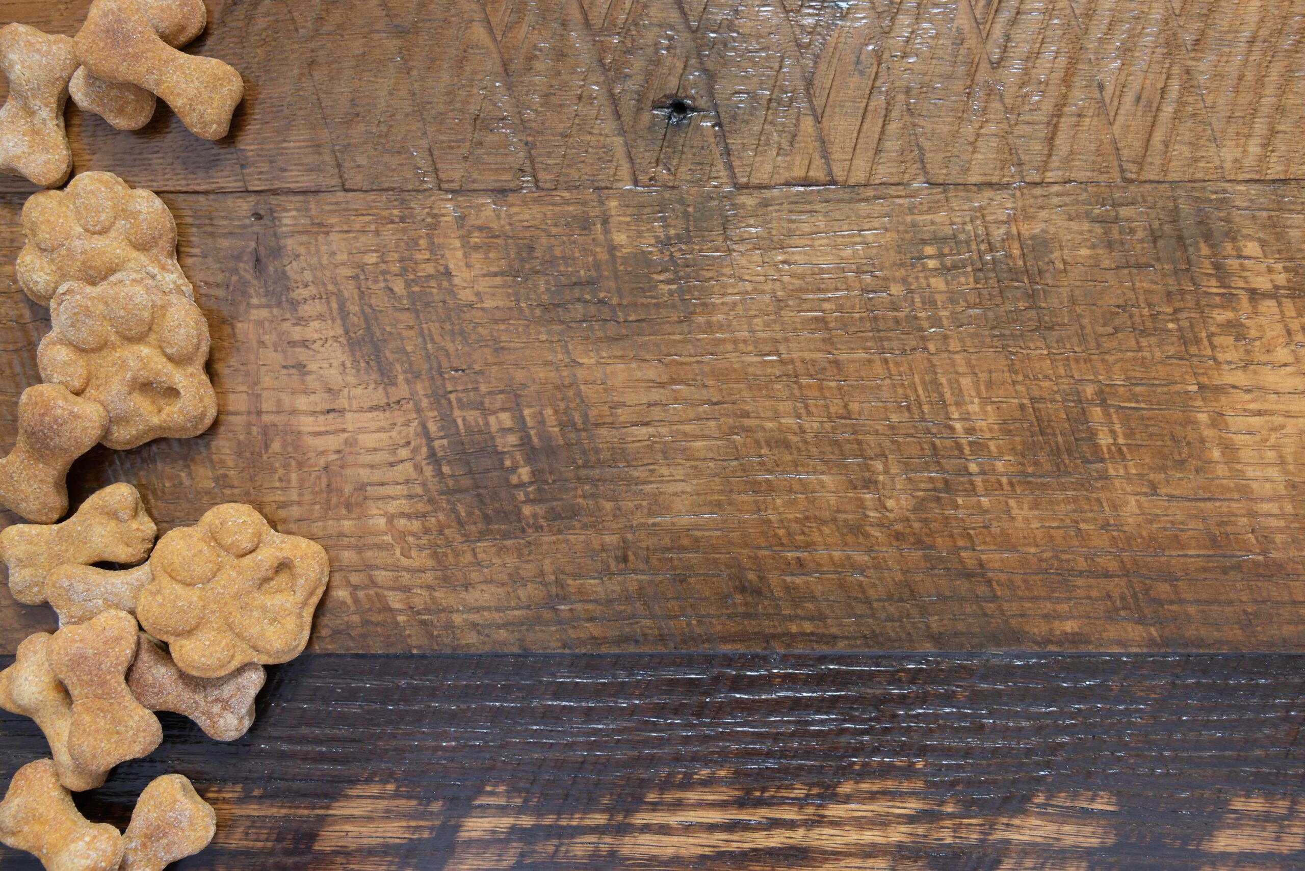 Homemade treats for your dog.