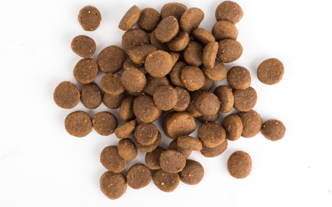 Natural Salmon Dog Treats: The Tasty, Healthy Choice for Canadian Dogs!
