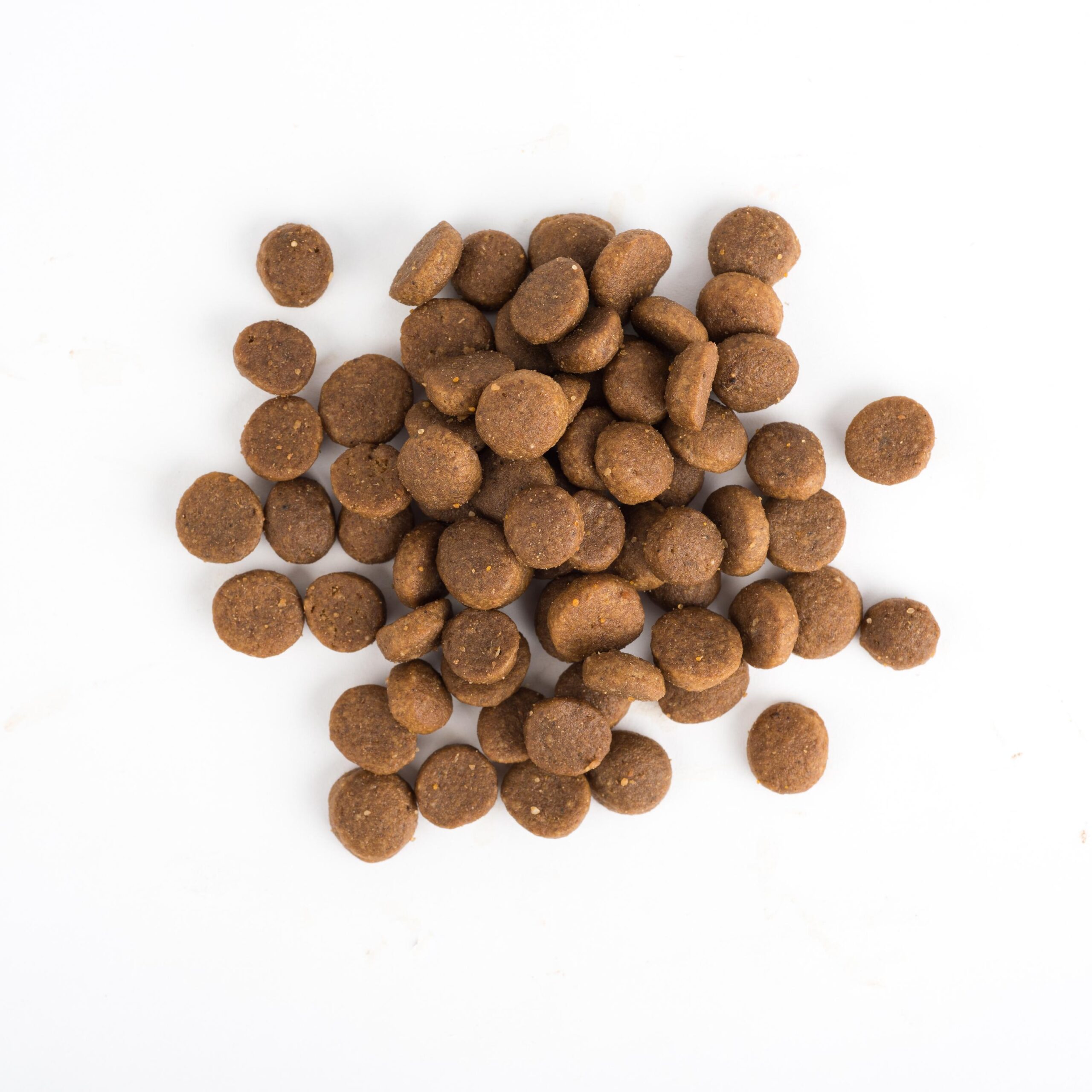 Dried cat or dog food isolated on white