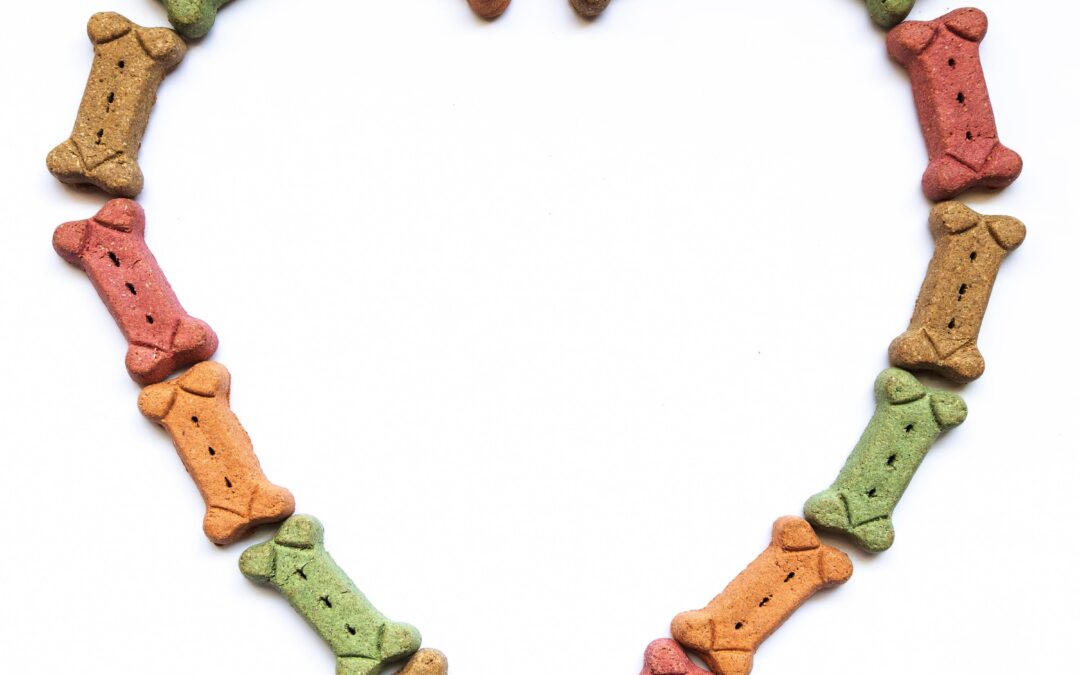 How to Choose Natural Dog Treats in Canada (Without Second‑Guessing Your Cart)