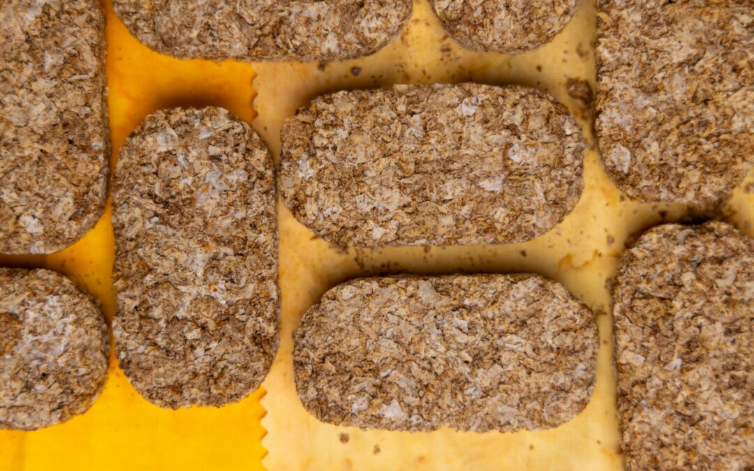 Natural Salmon Dog Treats: A Simple Guide for Flavor-First Dogs