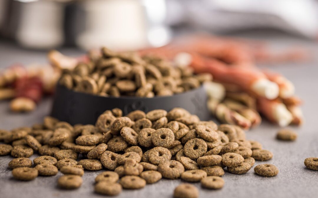 Single-Ingredient Dog Treats: What They Are and Why Canadian Pet Parents Love Them