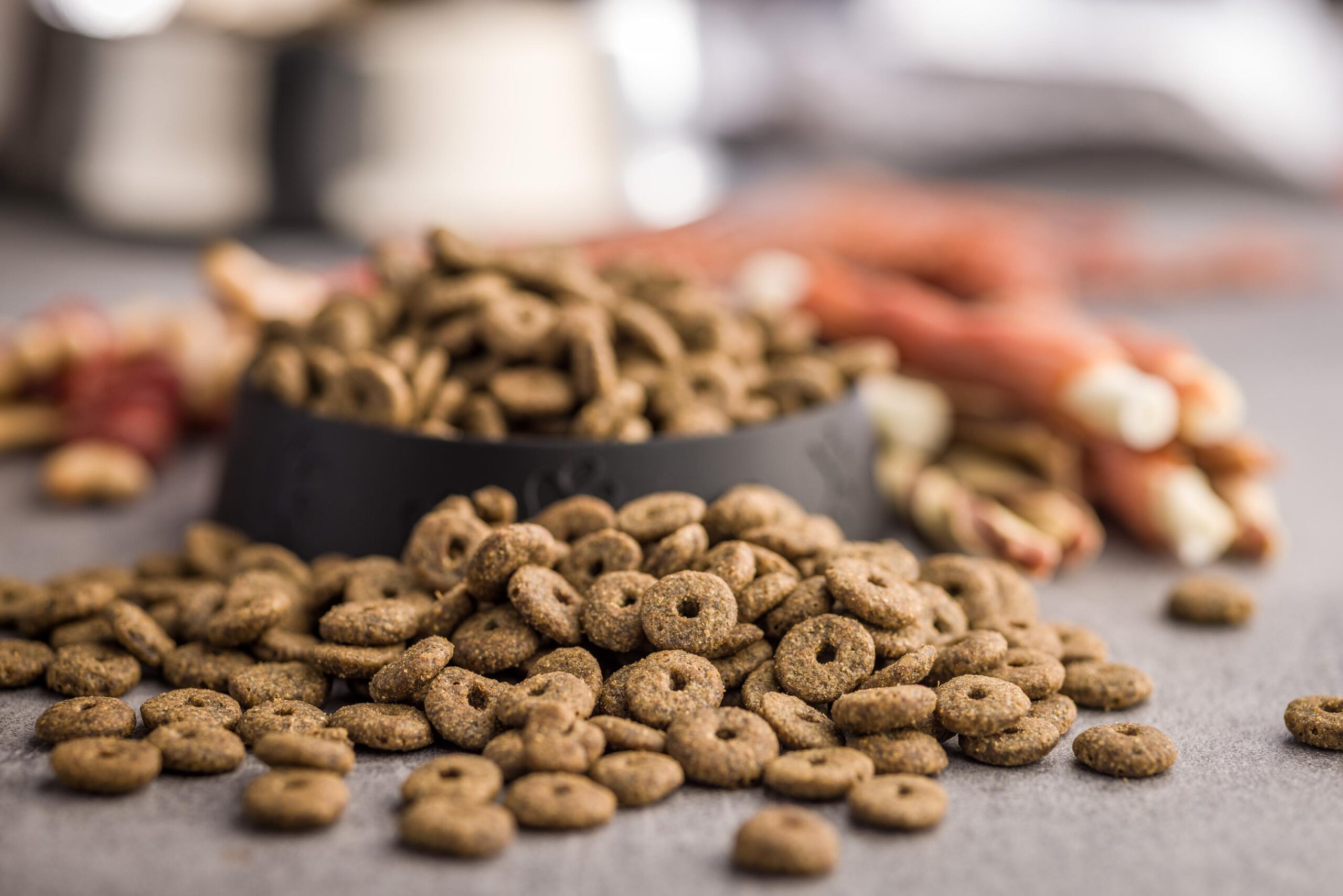 Dry pet food. Dry kibble food on gray table.
