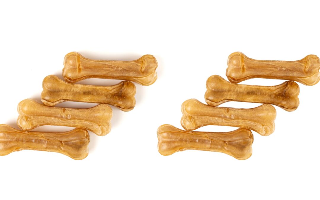 Long-Lasting Dog Chews: A Canadian Guide for Busy Dogs and Mindful Pet Parents