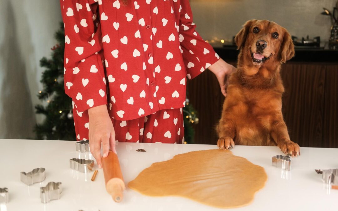 Quality Without the Clutter: How to Choose Premium Pet Products (Proudly Canadian!)