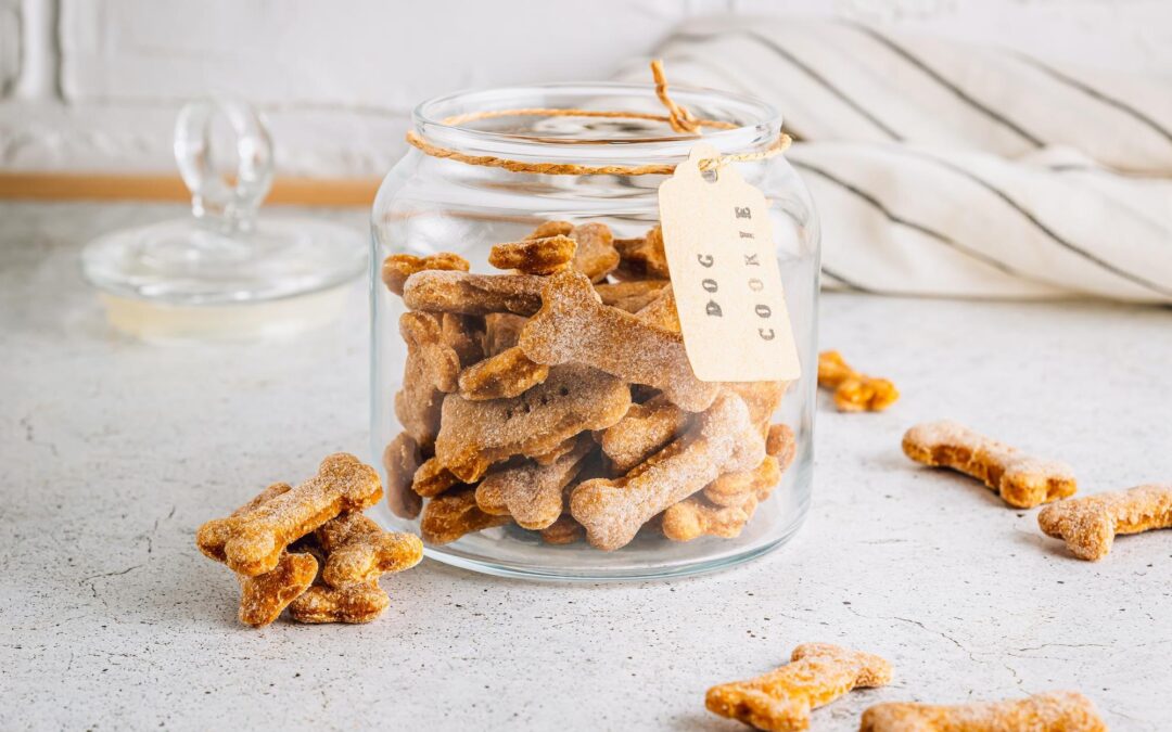 Single-Ingredient Dog Treats in Canada: What They Are and Why Pet Parents Love Them
