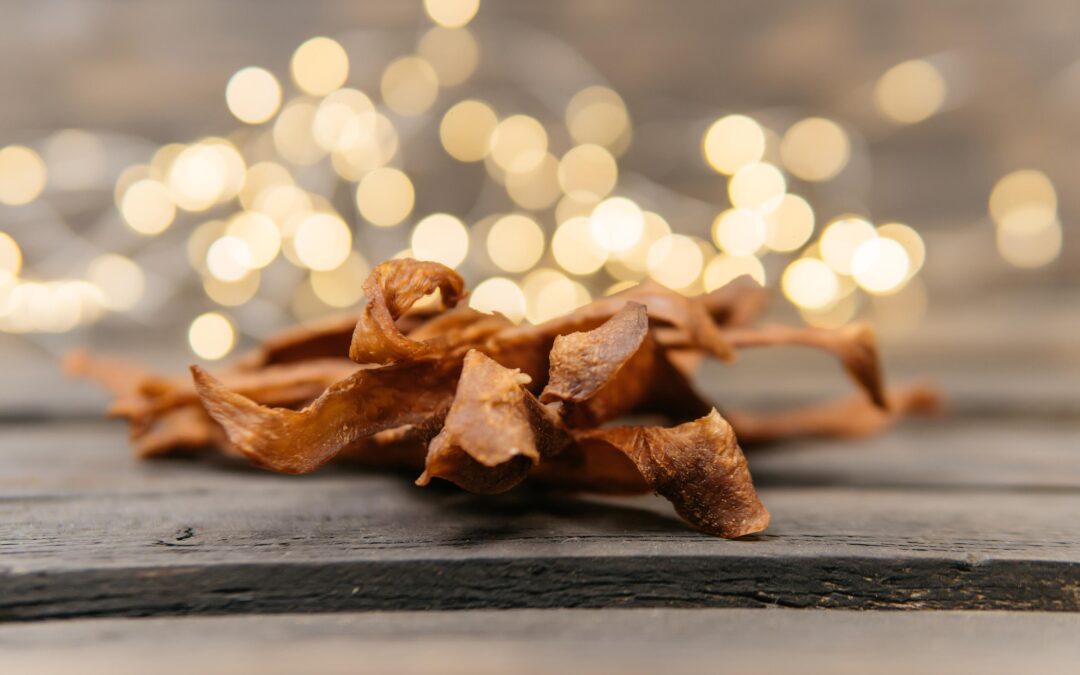 Why Long-Lasting Dog Chews Are a Busy Dog’s Best Friend (and Their Human’s, Too!)