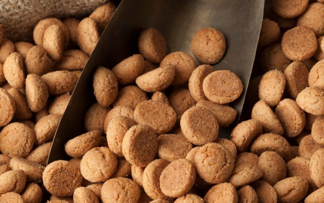 How to Choose Canadian-Made Dog Treats: Natural, Trustworthy, and Worth It