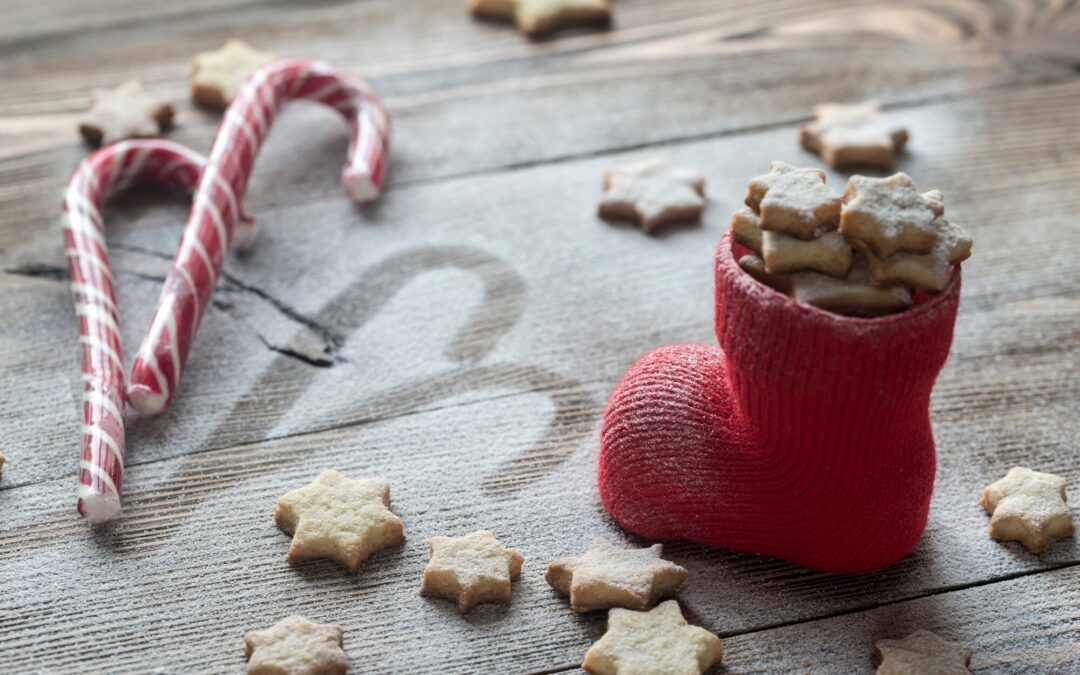 Single-Ingredient Dog Treats in Canada: A Simple, Clean-Label Guide for Pet Parents