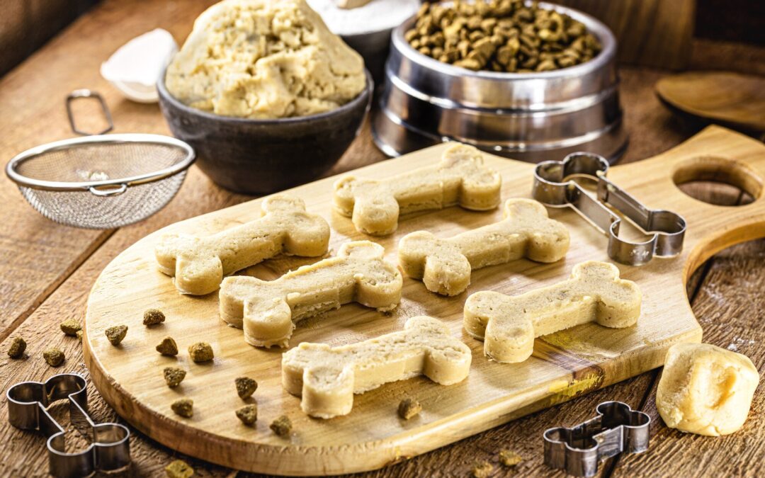 Single-Ingredient Dog Treats in Canada: What They Are and Why Pet Parents Love Them