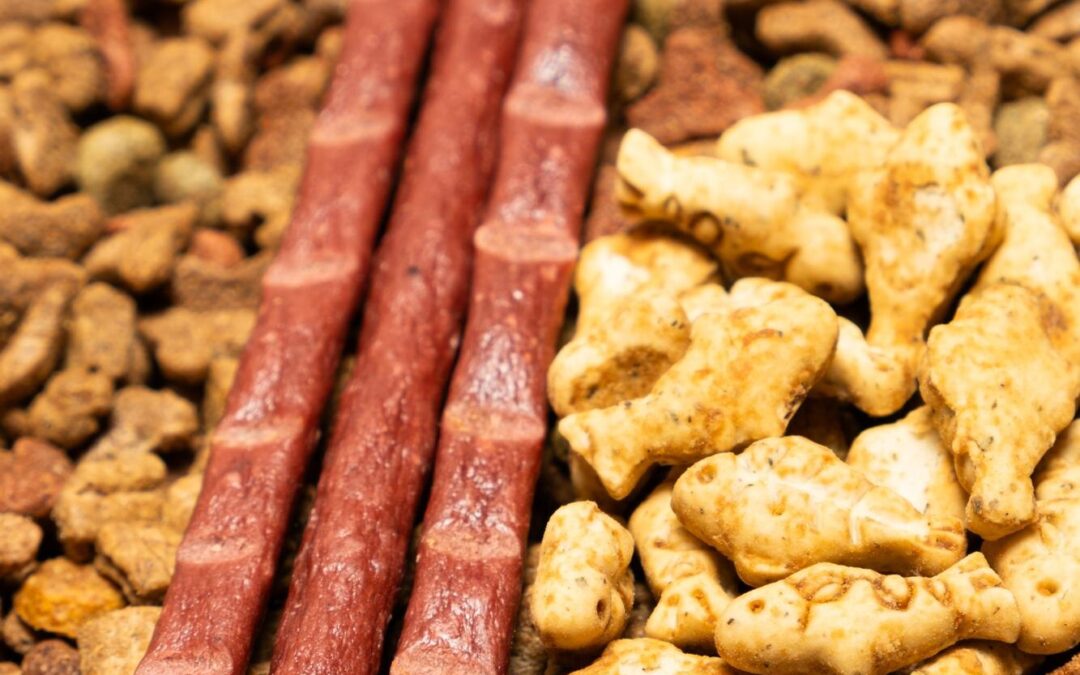 Why Natural Salmon Dog Treats Win Over Flavor‑First Pups