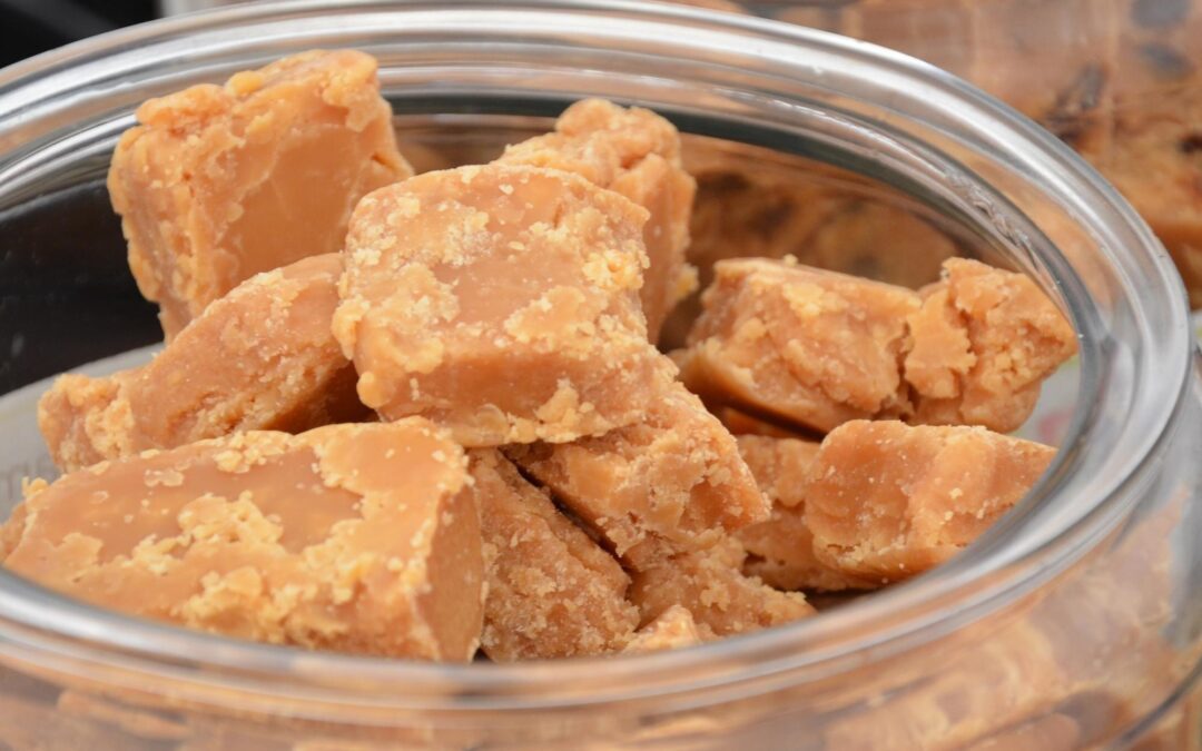Why Natural Salmon Dog Treats Are a Top Pick for Flavor-First Pups (Proudly Canadian!)