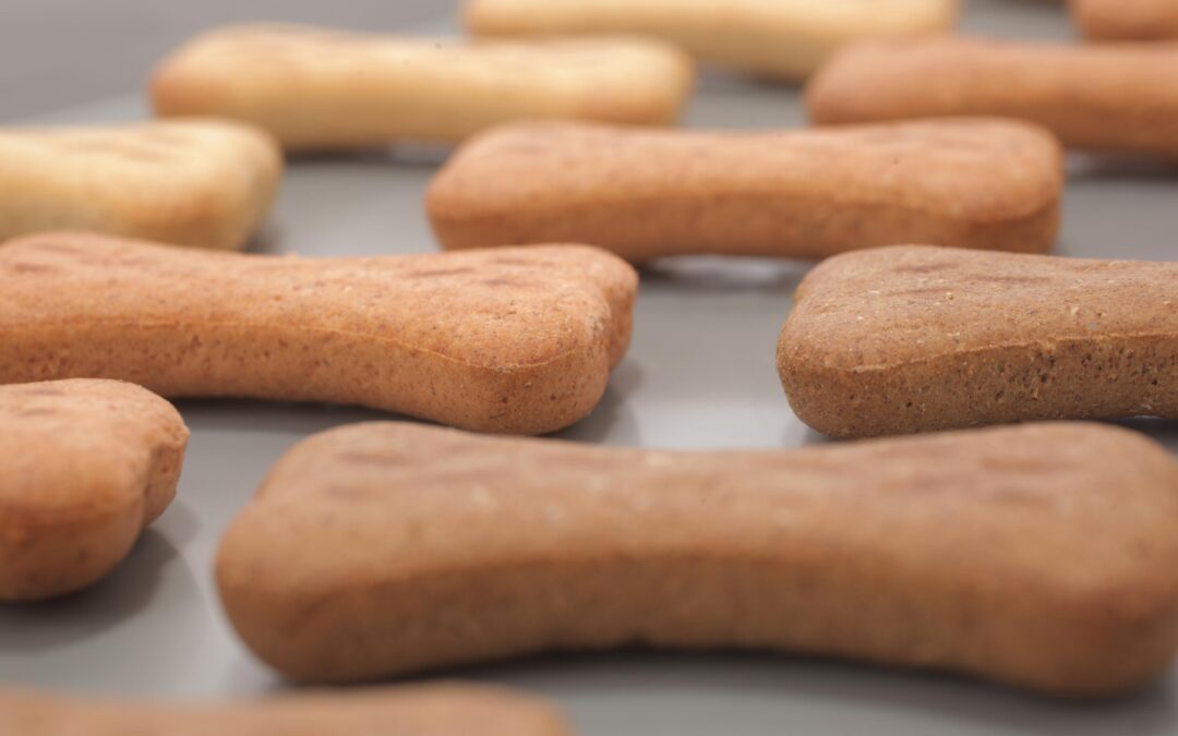 How to Choose Canadian-Made Dog Treats You Can Truly Trust!