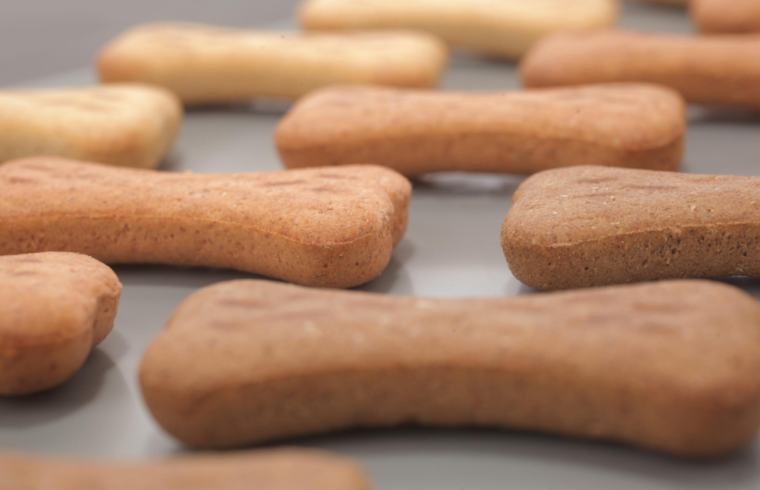 Snack food for dogs biscuits production line shaped as bone